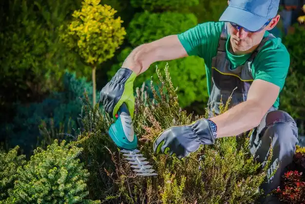 landscaping services South Nyack